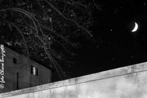 Nel cielo stellato